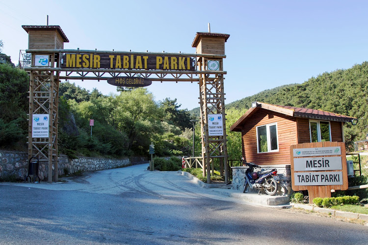 Mesir Tabiat Parkı