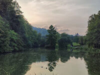 Mestni park Travel Forum Reviews
