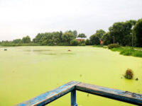 Mesto Dlya Nablyudeniya Za Ptitsami Travel Forum Reviews