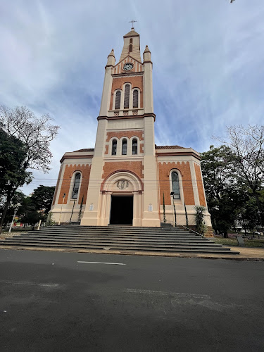 Metropolitan Cathedral Of San Sebastian - Ribeirão Preto