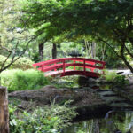 Miami Beach Botanical Garden