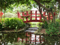 Miami Beach Botanical Garden Travel Forum Reviews