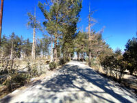 Mian Ghundi Recreational Park Travel Forum Reviews