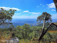 Michiru Peak Travel Forum Reviews