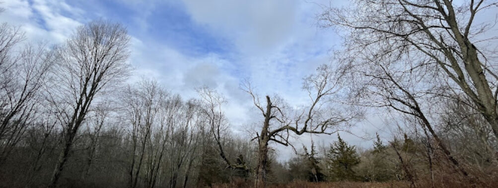 Middletown Nature Gardens Travel Forum Reviews