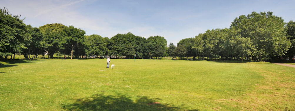 Mile End Park Travel Forum Reviews