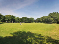 Mile End Park Travel Forum Reviews