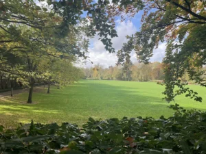Mill Gardens
