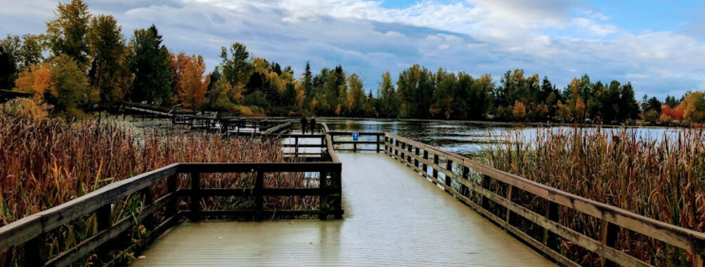 Mill Lake Park Travel Forum Reviews