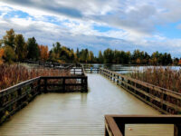 Mill Lake Park Travel Forum Reviews