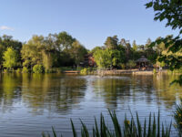 Mill Pond Park Travel Forum Reviews