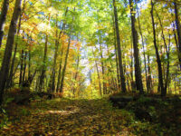 Mille Lacs Kathio State Park Travel Forum Reviews