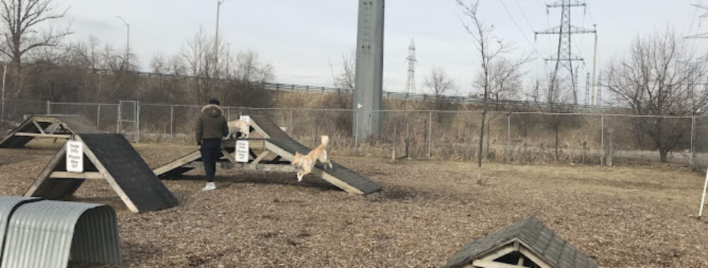 Miller Avenue Off-Leash Dog Park Travel Forum Reviews