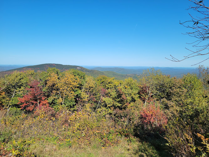 Miller State Park