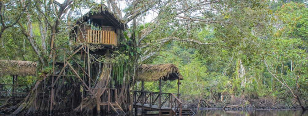 Millonarios Travel Moyobamba Travel Forum Reviews