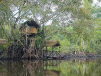 Millonarios Travel Moyobamba Travel Forum Reviews