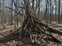 Mills Reservation Travel Forum Reviews