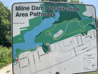 Milne Dam Conservation Park Travel Forum Reviews