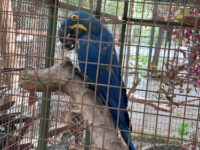 Mini Zoo del Juan XXIII Travel Forum Reviews