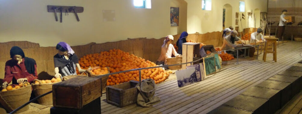 Minkov Citrus Orchard Museum Travel Forum Reviews