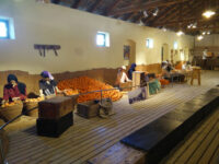 Minkov Citrus Orchard Museum Travel Forum Reviews