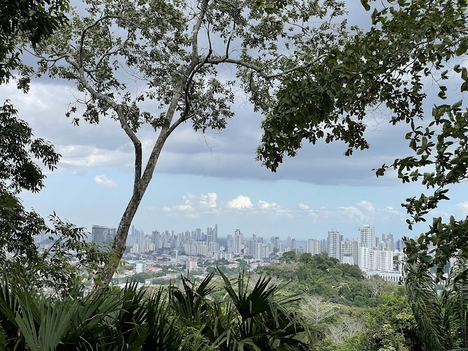 Mirador Cerro Cedro