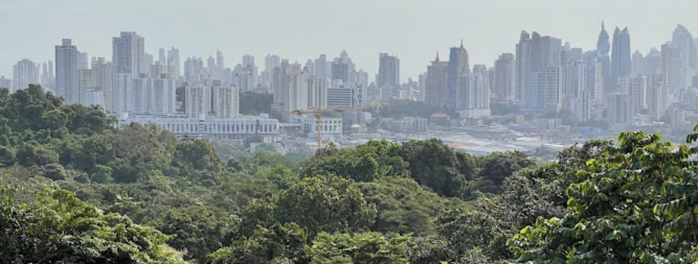 Mirador Cerro Cedro Travel Forum Reviews