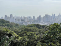 Mirador Cerro Cedro Travel Forum Reviews