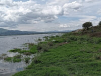 Mirador laguna de Zumpango Travel Forum Reviews