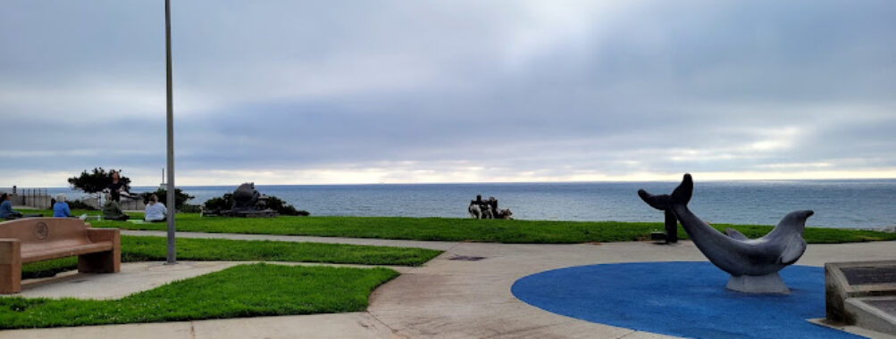 Miramar Park Travel Forum Reviews