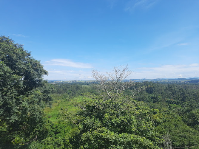 Mirante do banhado