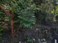 Misantla antiguo Travel Forum Reviews
