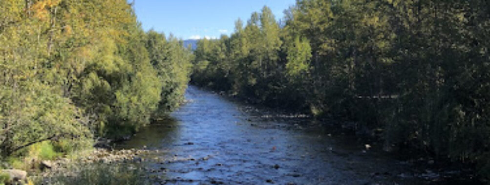 Mission Creek Greenway Regional Park Travel Forum Reviews