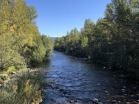 Mission Creek Greenway Regional Park Travel Forum Reviews