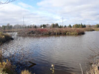 Mission Marsh Conservation Area Travel Forum Reviews