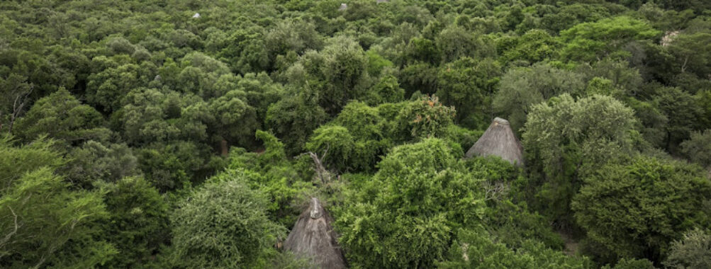 Mkhaya Game Reserve Travel Forum Reviews