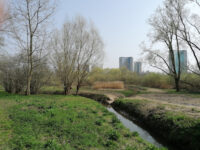 Moeras van Jette-Ganshoren Travel Forum Reviews