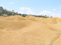Mogo kaka Travel Forum Reviews