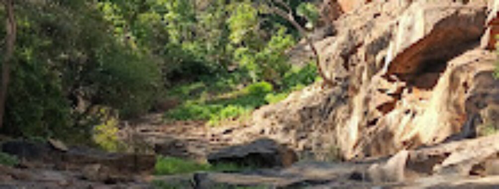 Mogonye Gorge Travel Forum Reviews