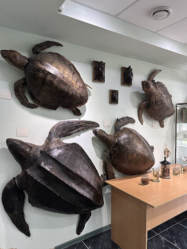 Moldova State University Museum