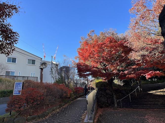 Momijiyama Park