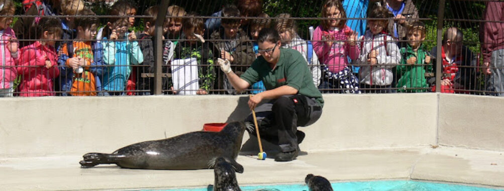 Mönchengladbach Zoo Travel Forum Reviews