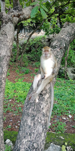Monkeys Cave and Natural Park