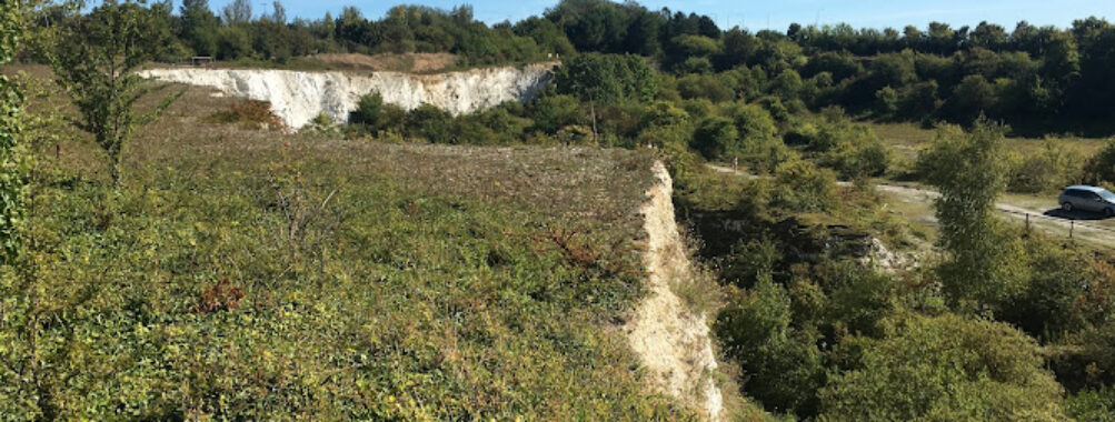Monkton Nature Reserve Travel Forum Reviews