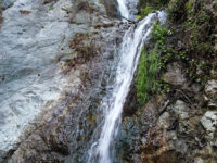 Monrovia Canyon Park Travel Forum Reviews