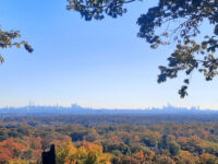 Montclair Hawkwatch Travel Forum Reviews
