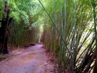 Monte Blanco County Reserve Travel Forum Reviews