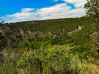 Monte Nuovo Travel Forum Reviews