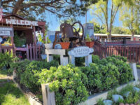 Montebello Barnyard Zoo Travel Forum Reviews