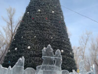 Montenegrin Park Travel Forum Reviews